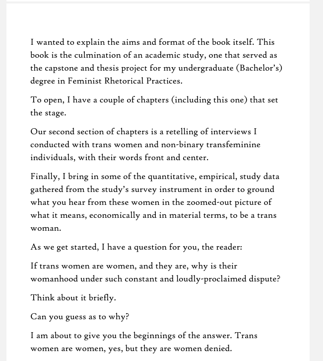 Screenshot 4 for Real Girls' Talk: Transfeminine Precarity Across U.S. Places and Spaces, 2024-2025