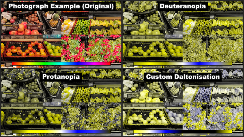 Custom Color Vision by Ooqui Sensory Lab