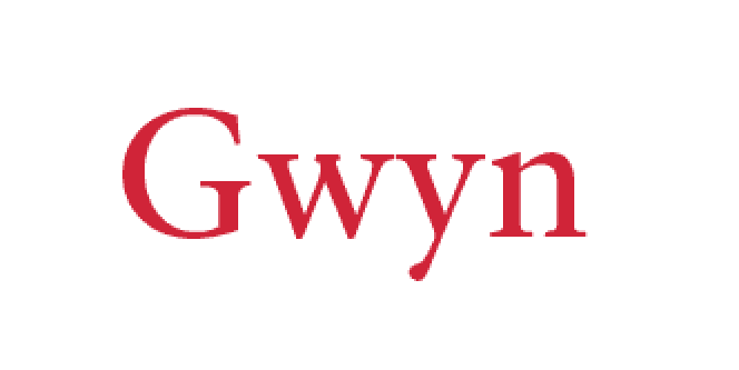 Gwyn demo 2