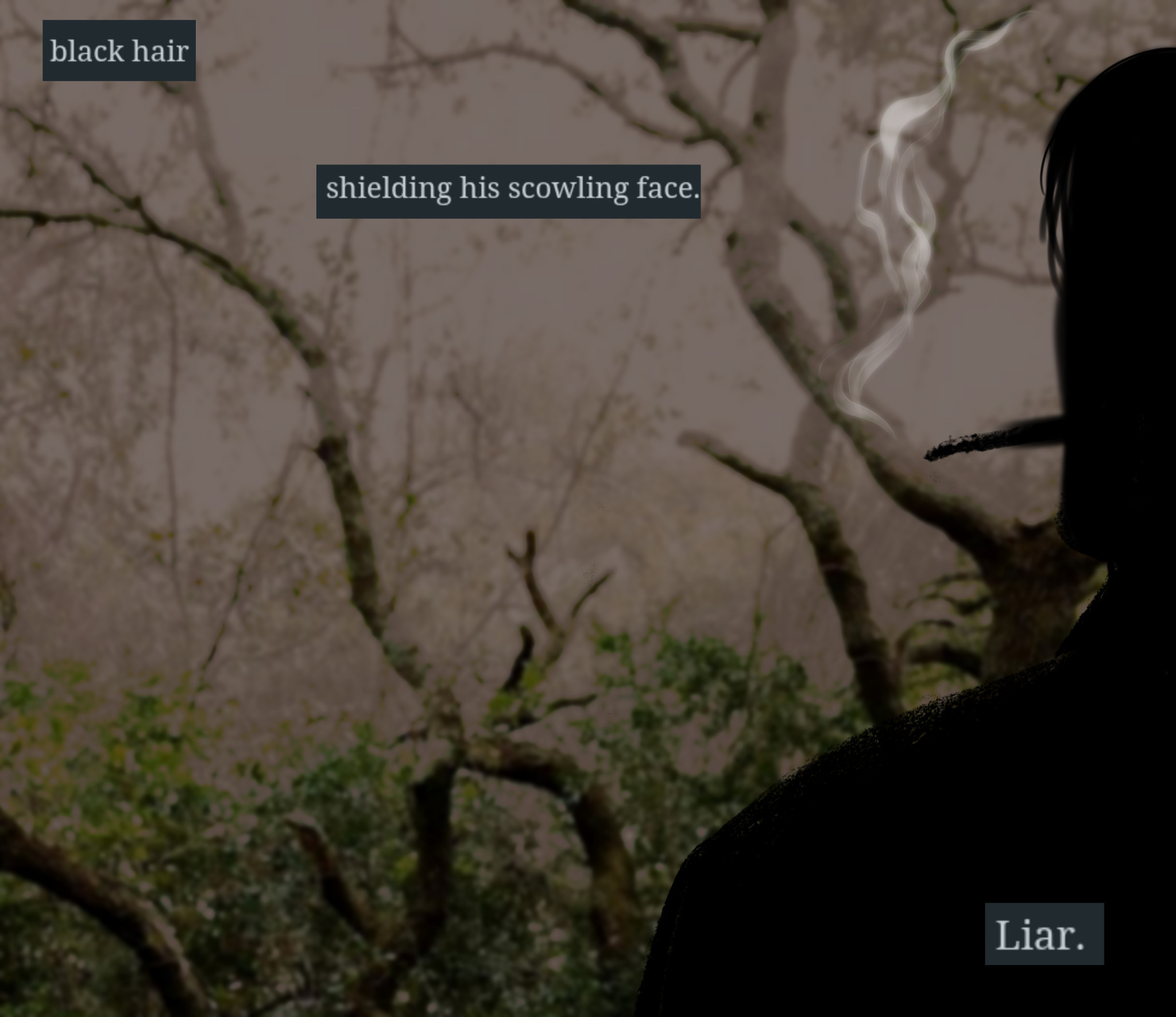 Screenshot 6 for The Mad Heir