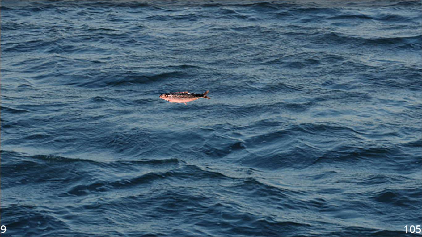 Screenshot 2 for Daily Free Fish