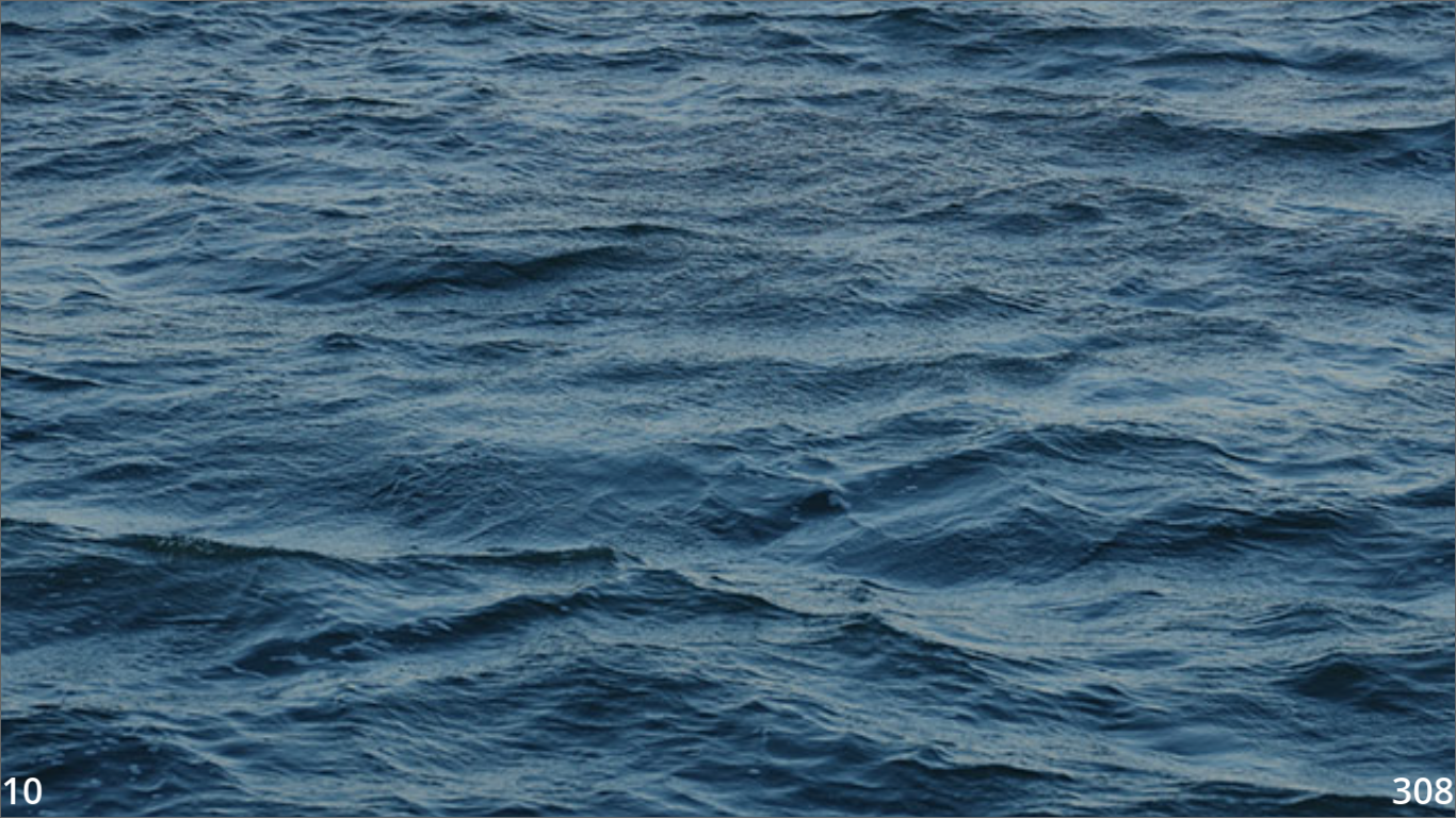 Screenshot 4 for Daily Free Fish