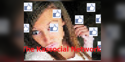 Cover image for The Kassocial Network -English version