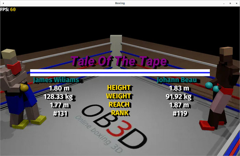 Online Boxing 3D V2 by mlp2305