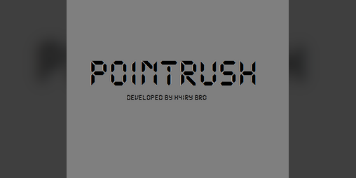 Cover image for Pointrush