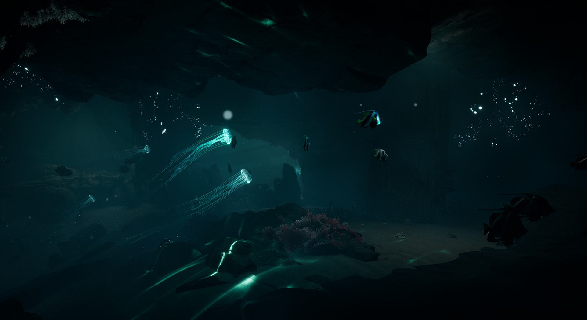 Screenshot 2 for Jellyfish