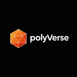 polyversehub marketplace preview