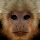 Screenshot 16 for Liminal Gorillas