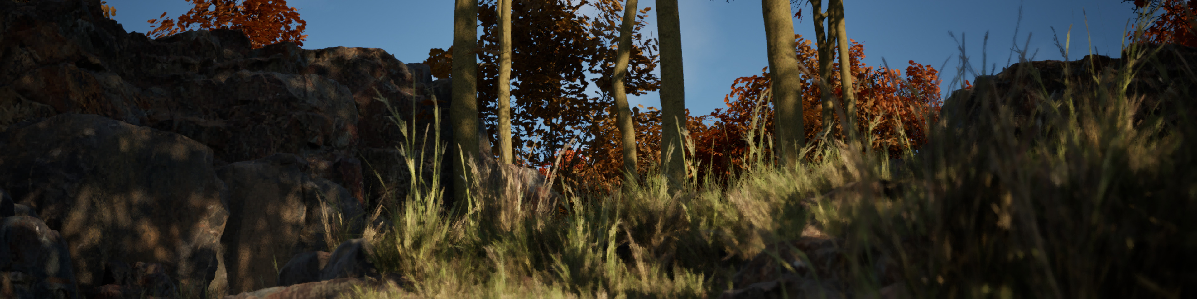 Screenshot 10 for Leidelerenia