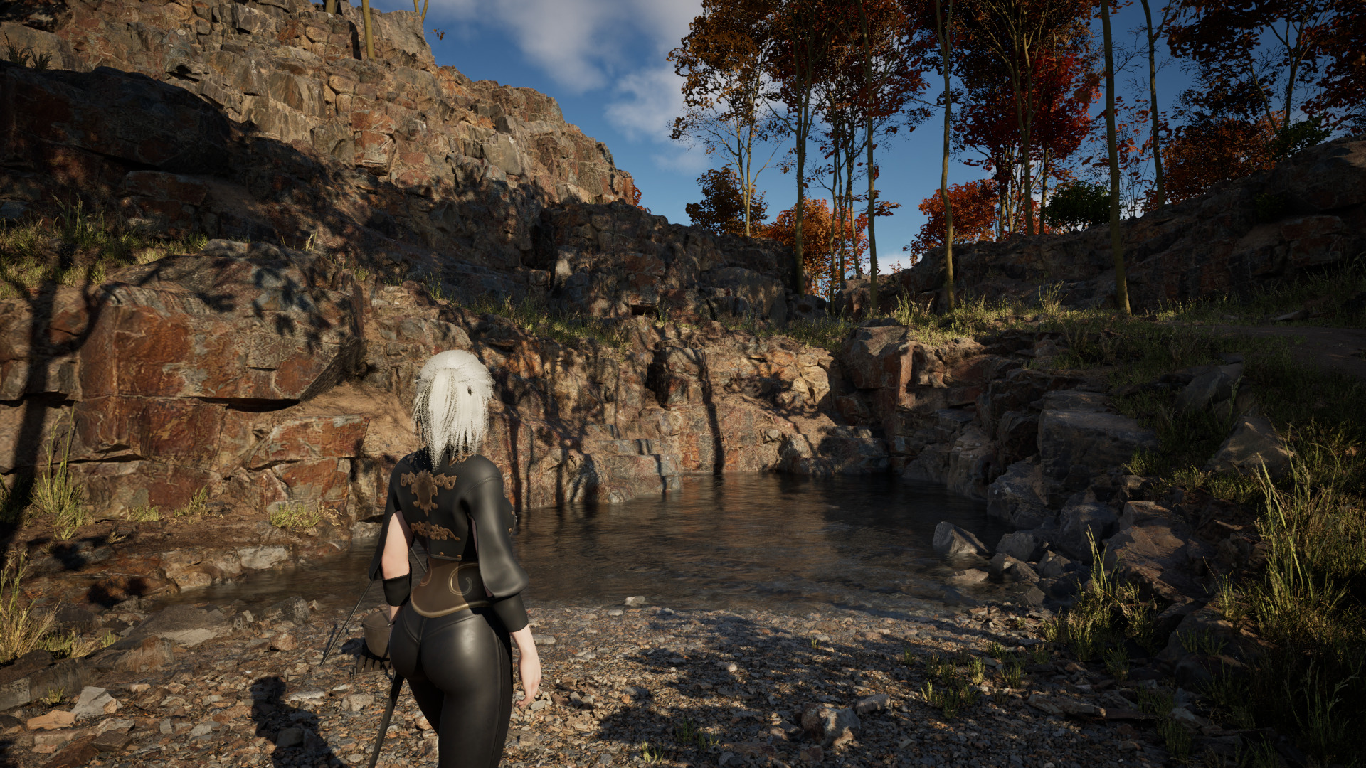 Screenshot 13 for Leidelerenia