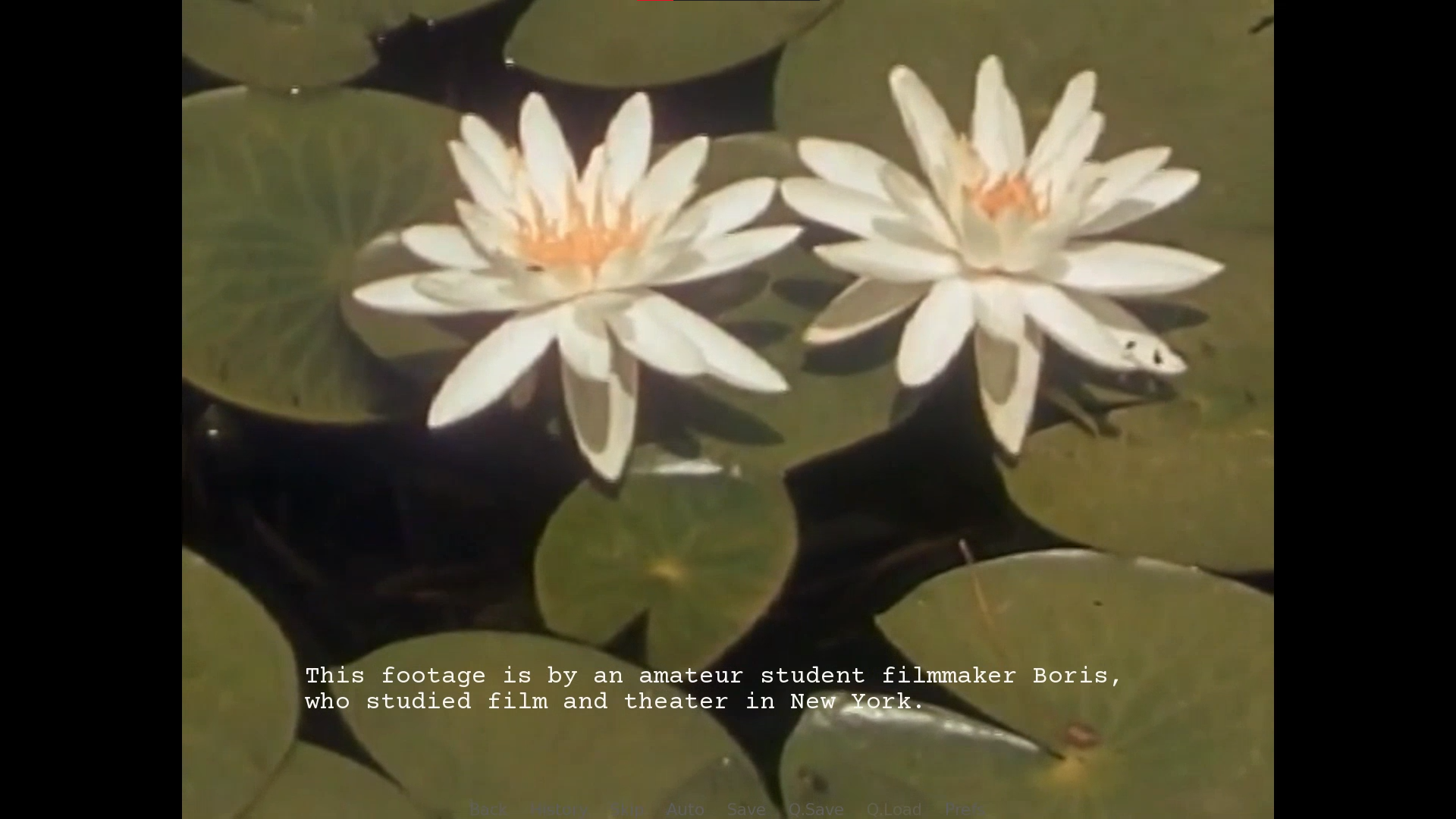 Screenshot 4 for Seraphic Art Gallery