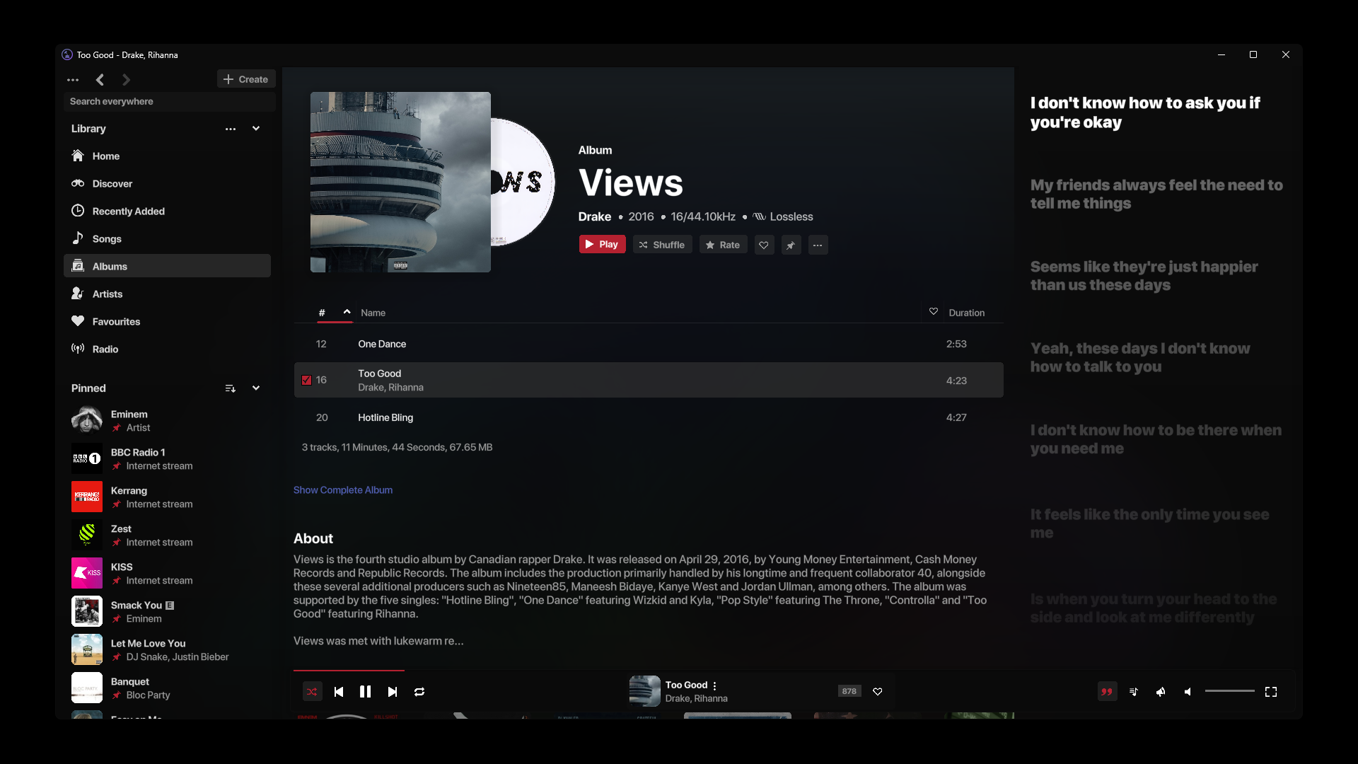 Screenshot 3 for AJ Audio - a Jellyfin, Emby, and Windows Music Player