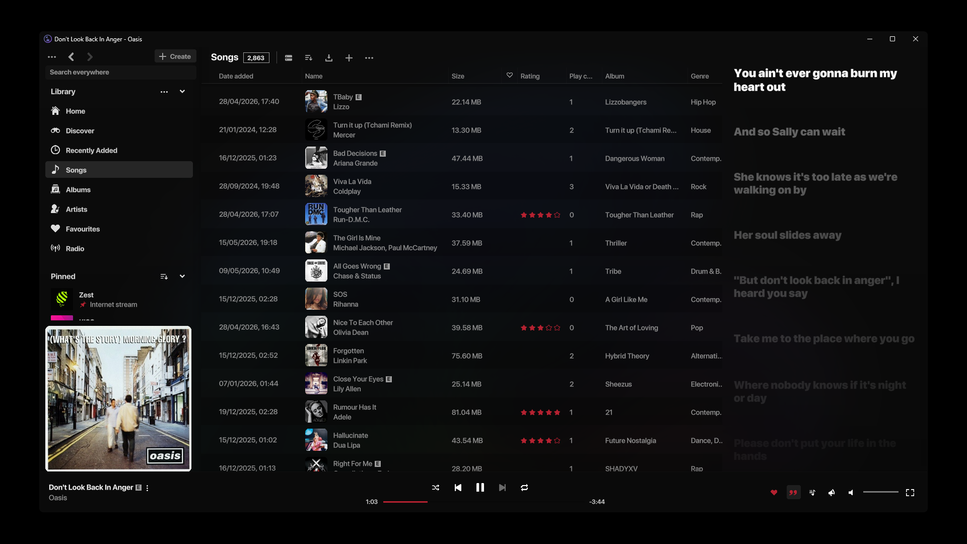 Screenshot 6 for AJ Audio - a Jellyfin, Emby, and Windows Music Player