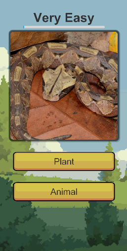 Screenshot 3 for WildLife