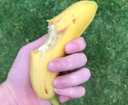 Screenshot 4 for THE FRUIT GAME