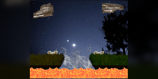 Cover image for Trustbear