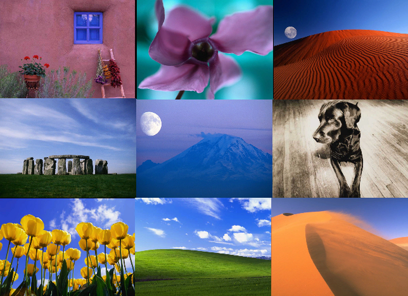 Windows Xp Asset Pack by ⚪ Null Tale 🎴 🌿