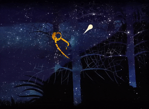Cover image for Night walk