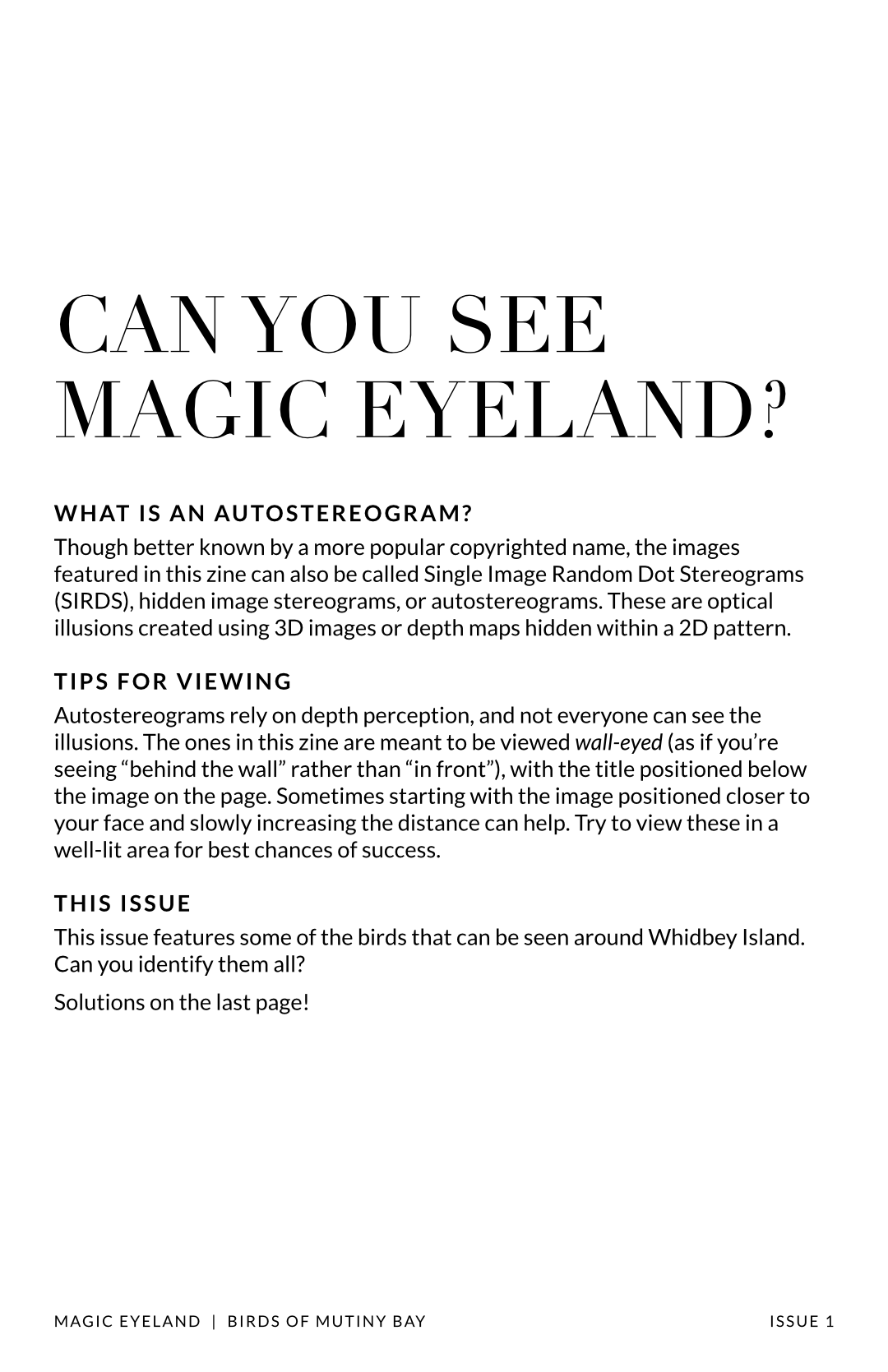 Screenshot 3 for Magic Eyeland: Birds of Mutiny Bay