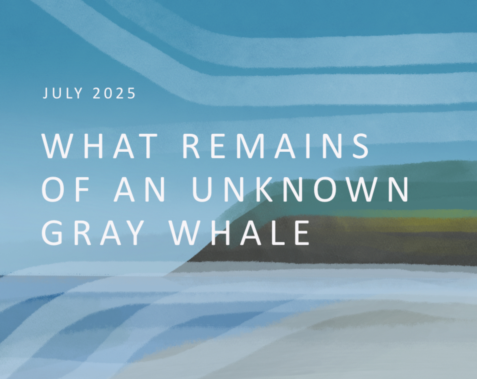 Screenshot 2 for What Remains of an Unknown Gray Whale