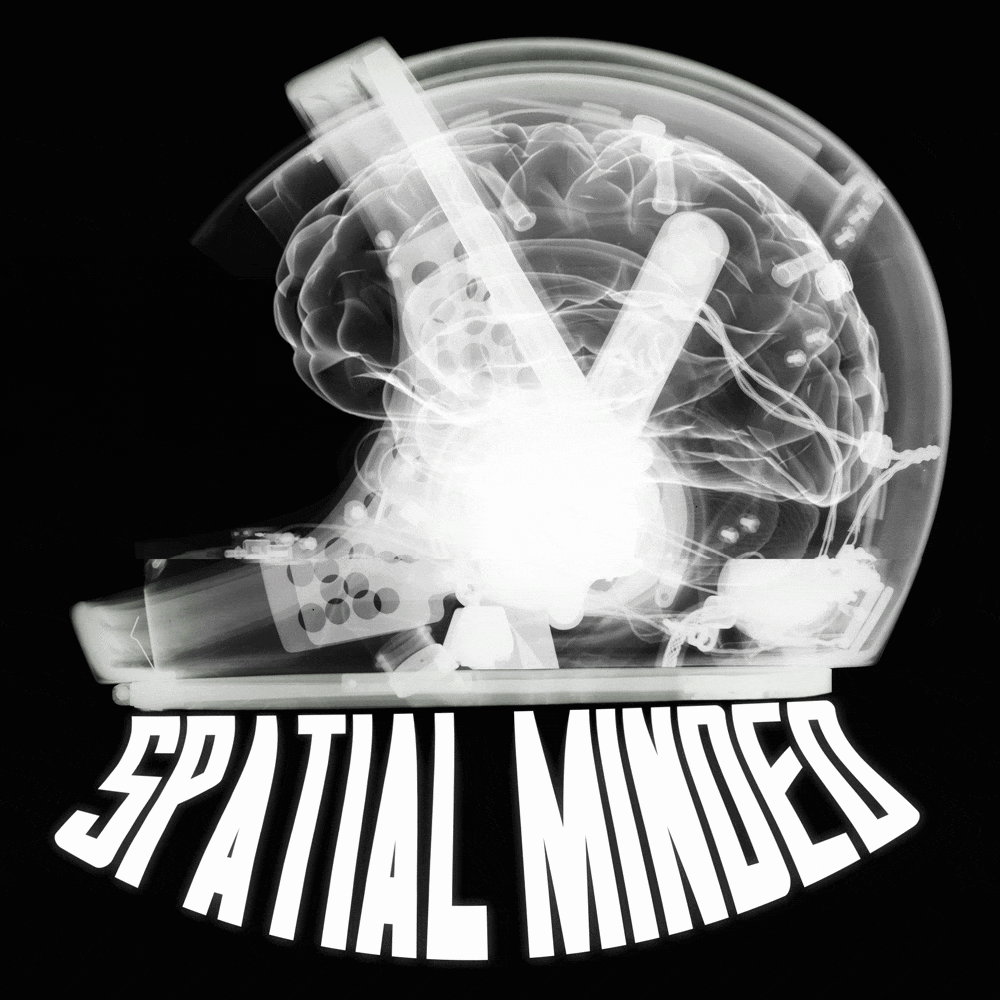 Cover image for SRMR