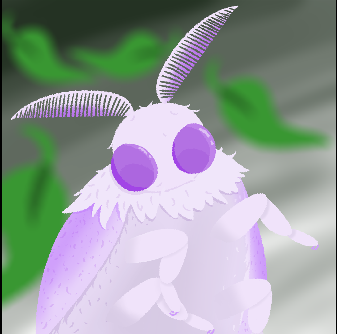 Screenshot 2 for The metamorphosis of my moths