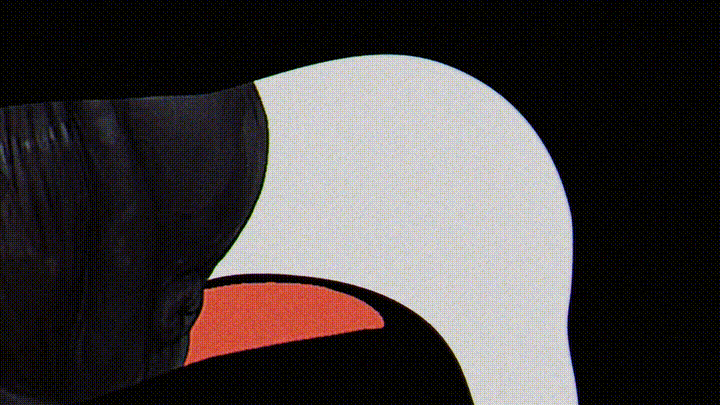 Sucks to Suck screenshot 1