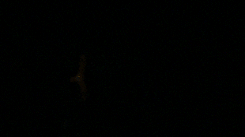 Screenshot 4 for She Had To Let Me Go