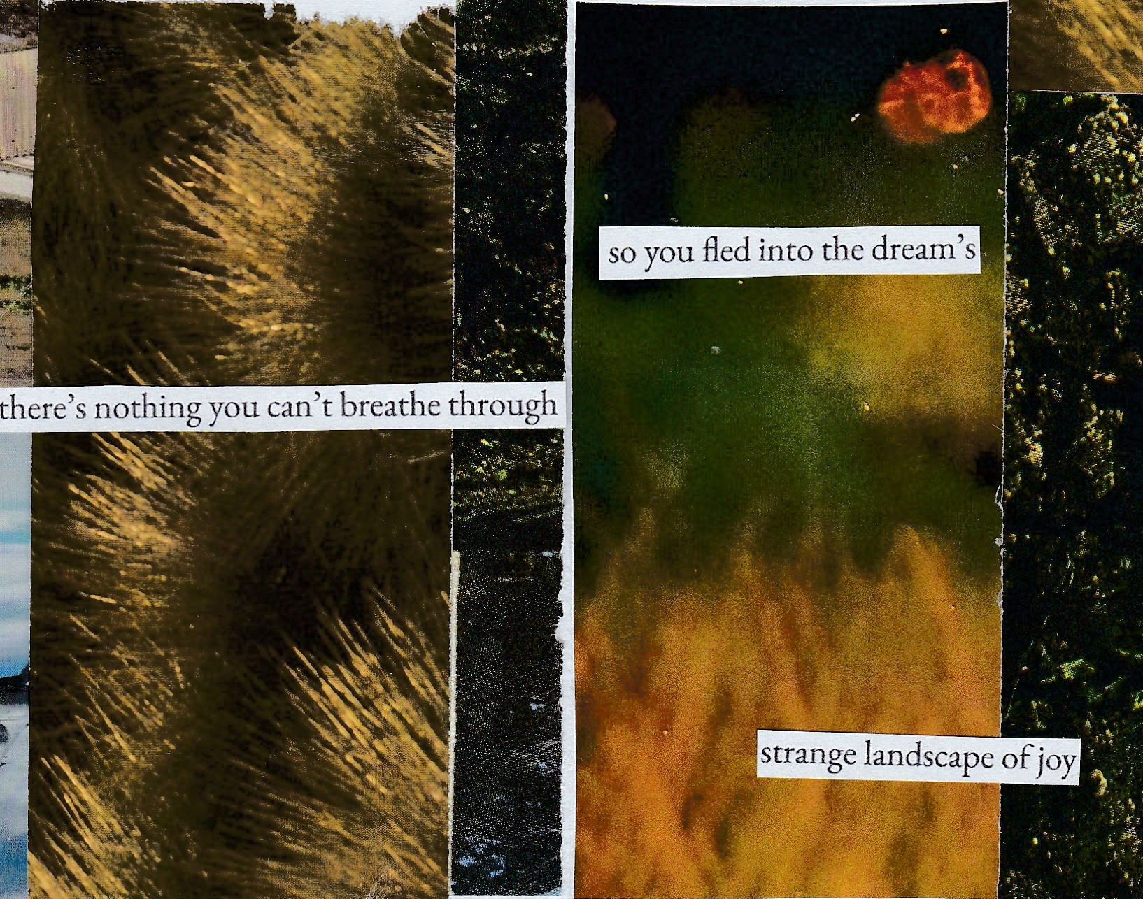 Screenshot 3 for what if the wilderness is where the real voice lives?