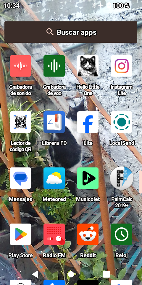 Screenshot 3 for Hello Little One Dalí The Cat