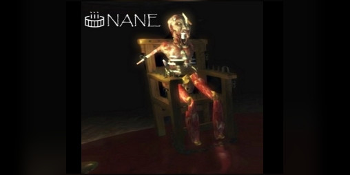 Cover image for INANE
