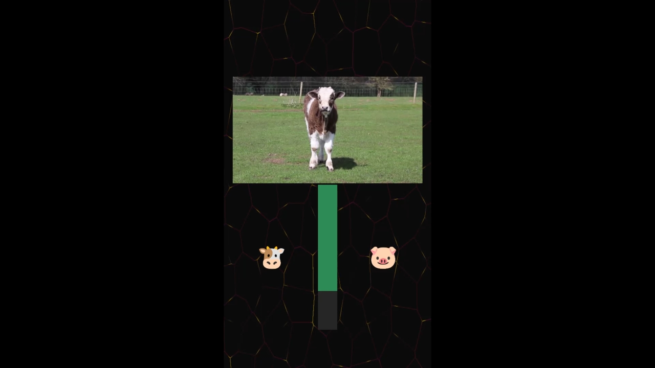Screenshot 2 for BrainBreak