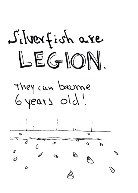 Screenshot 4 for The Silverfish Dilemma