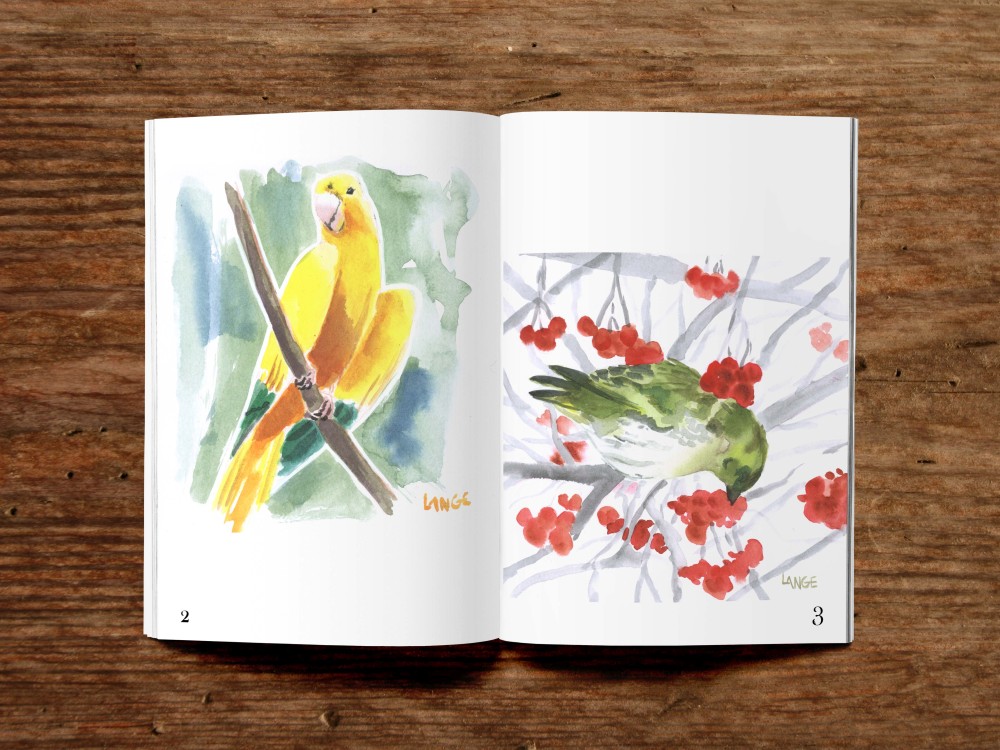 Screenshot 3 for Book of Birds v1 - an artzine