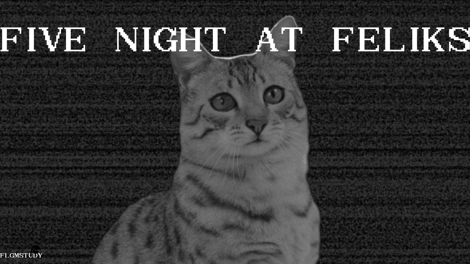 Screenshot 2 for Five Night At Feliks