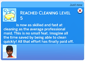 Screenshot 7 for Cleaning Skill