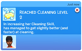Screenshot 4 for Cleaning Skill