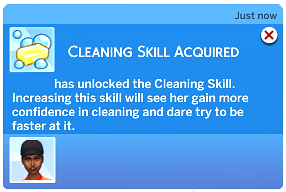 Screenshot 3 for Cleaning Skill
