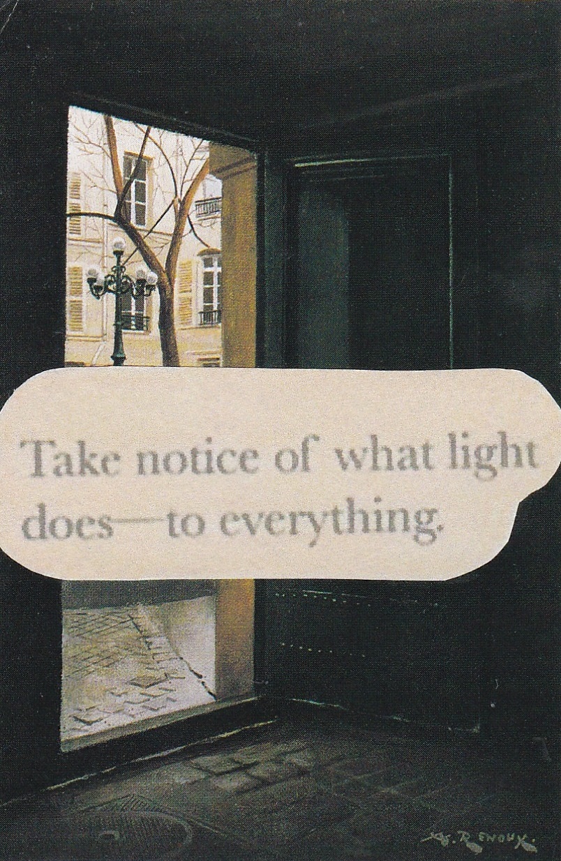 Screenshot 2 for Take notice of what light does—to everything