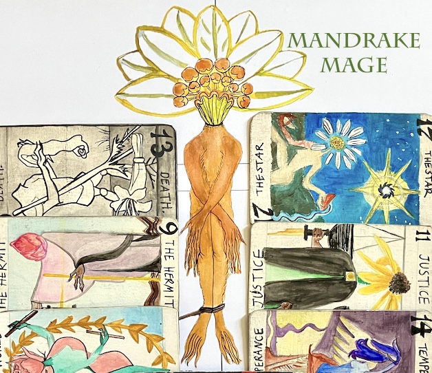 Screenshot 2 for MANDRAKE MAGE
