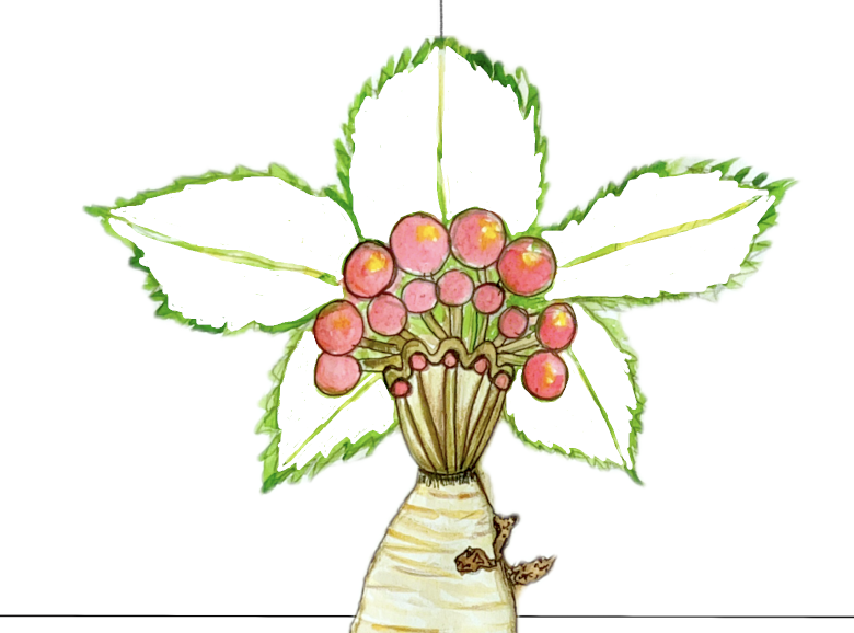 Screenshot 7 for MANDRAKE MAGE