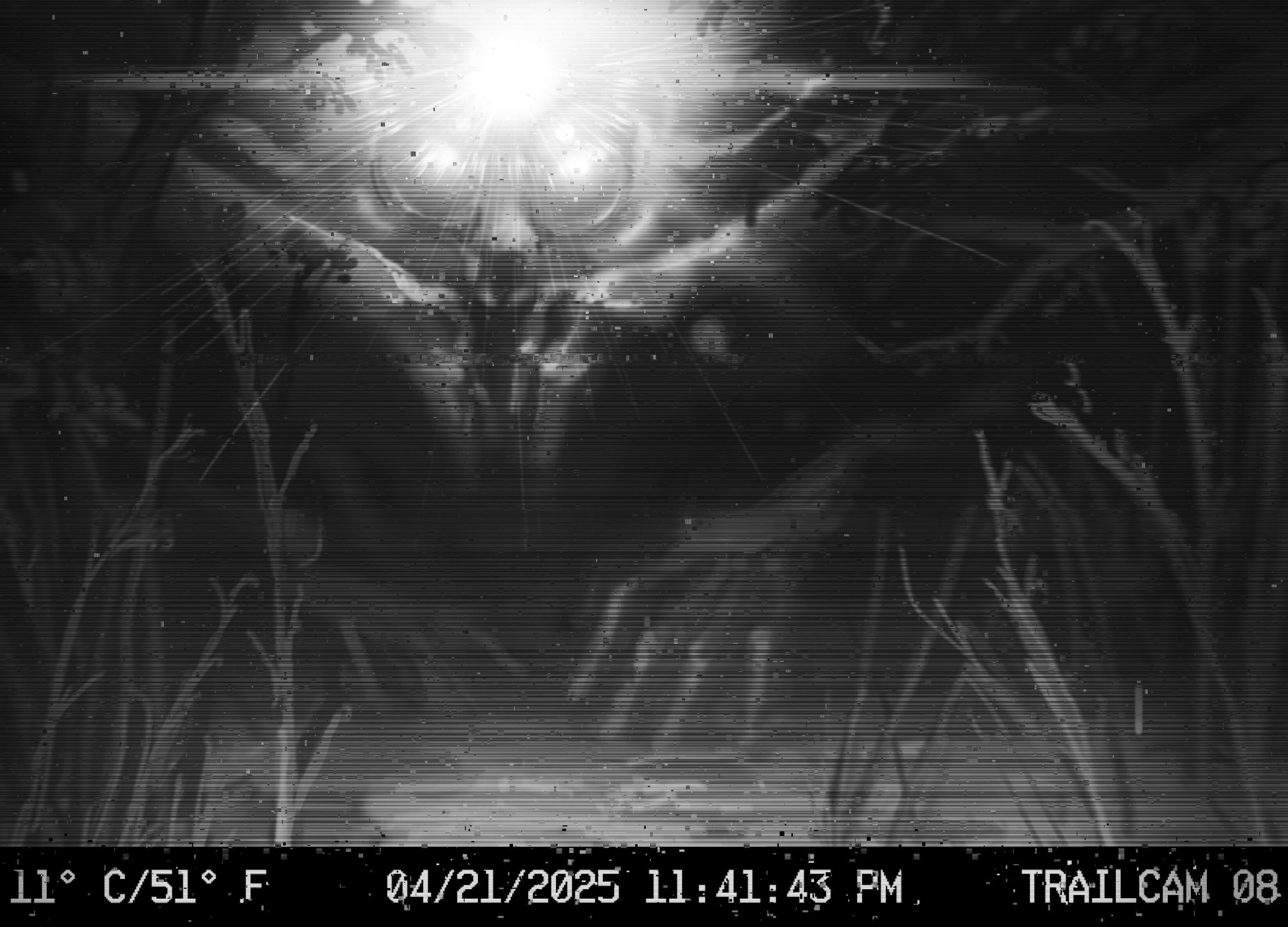 Screenshot 2 for Under the Lamplight