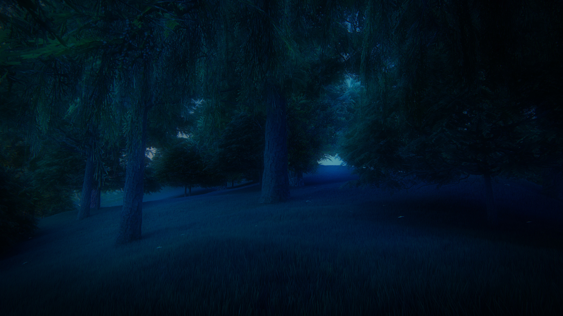 [View 12+] Download Background Anime Night Forest Pictures PNG