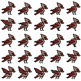 Bird Asset by Ordinary Bird Art