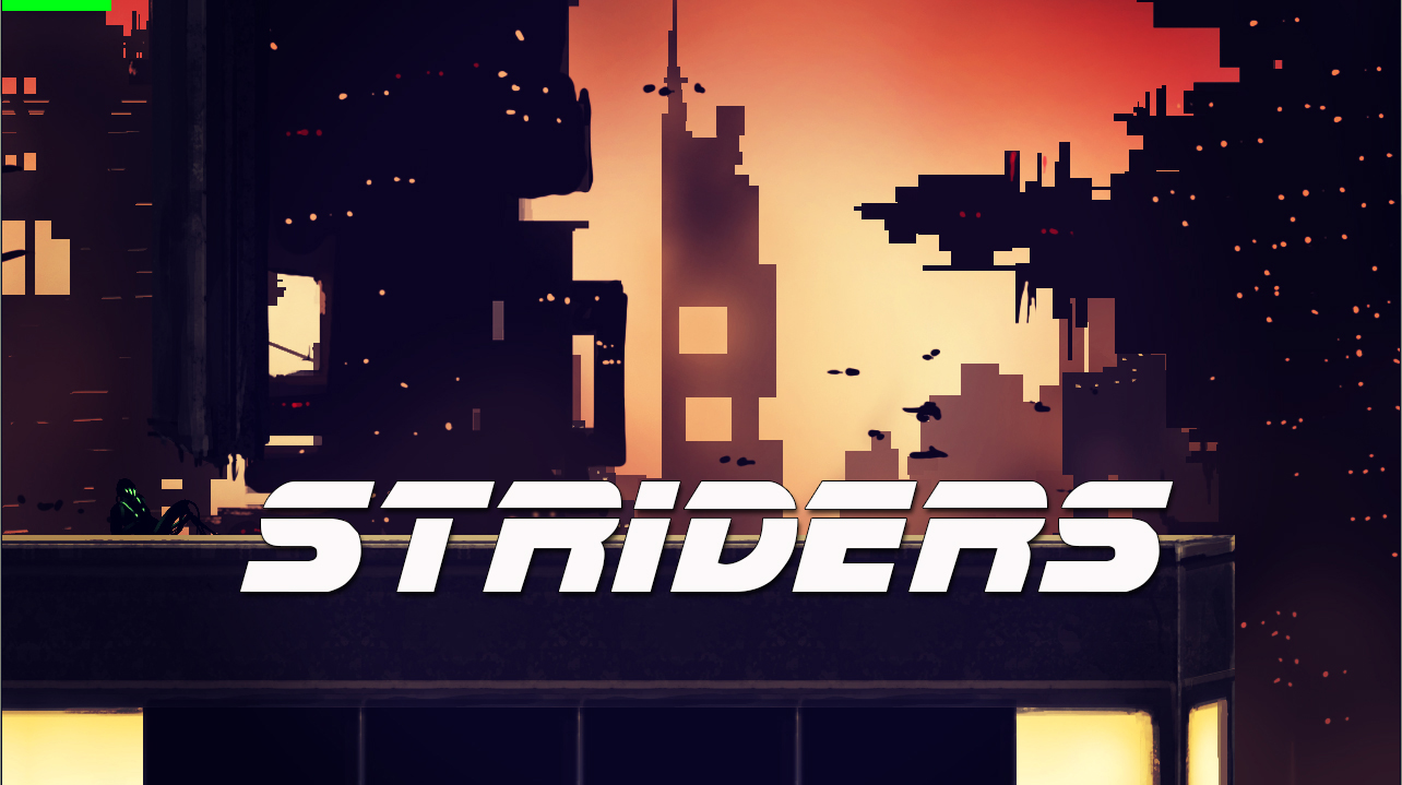 Cover image for STRIDERS