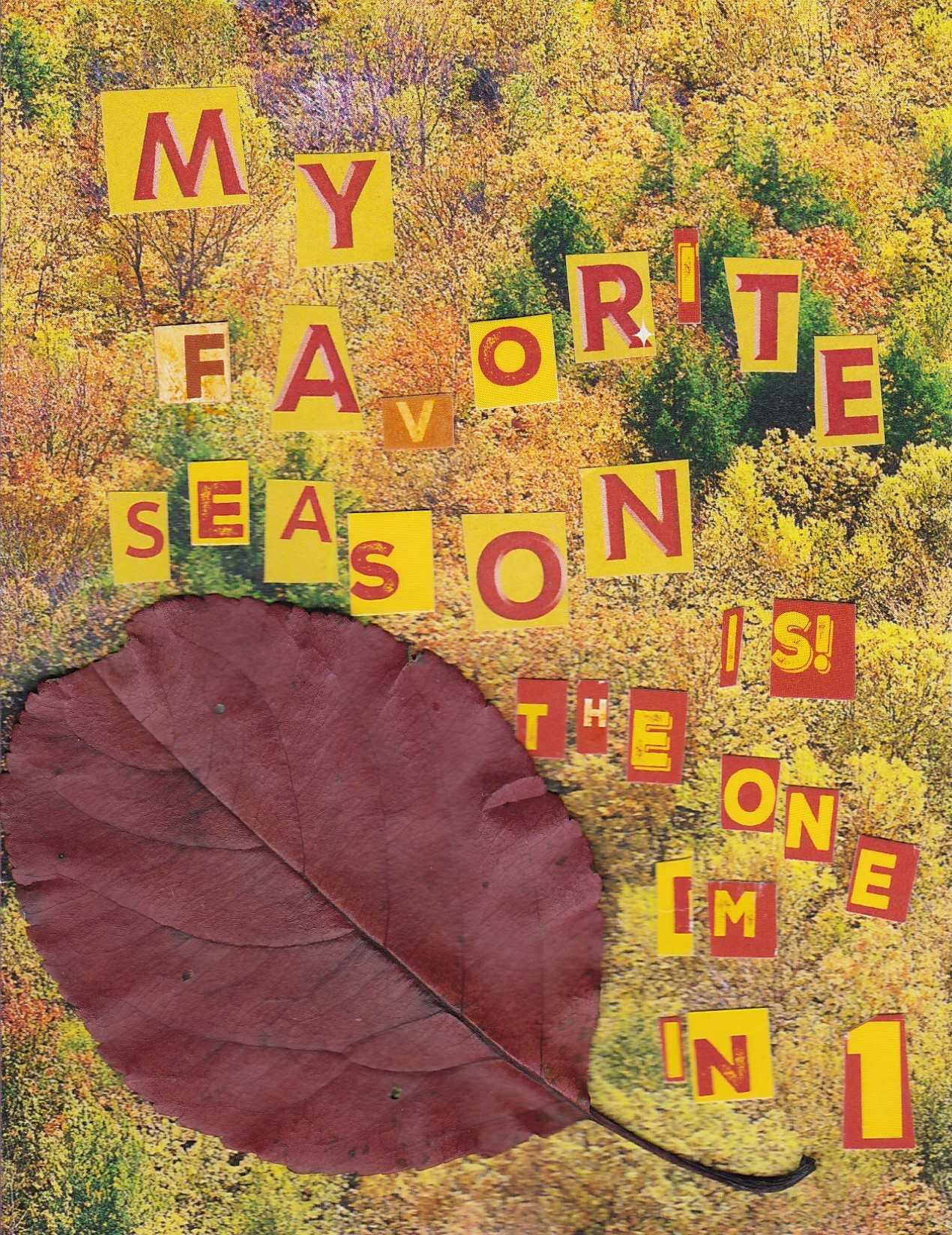 MY FAVORITE SEASON IS THE ONE I'M IN by BEE LB