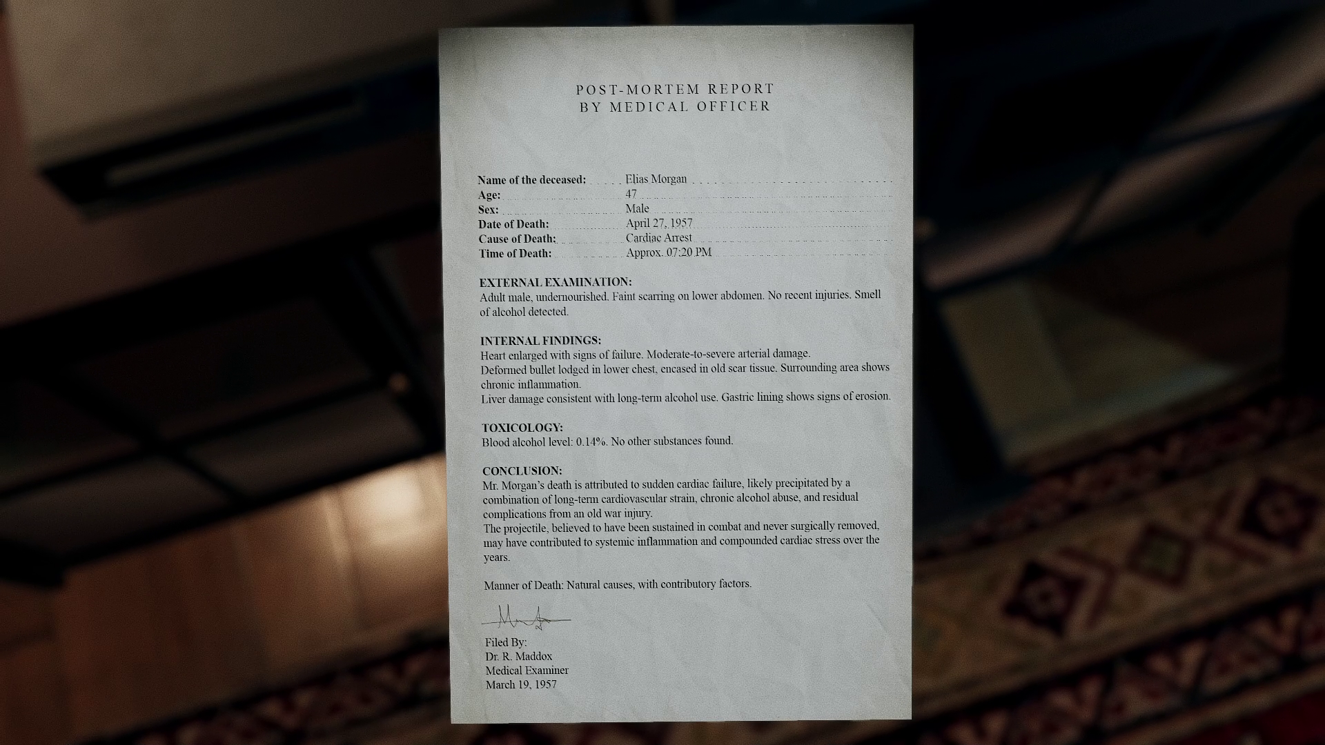 Shutter Story Demo screenshot 6