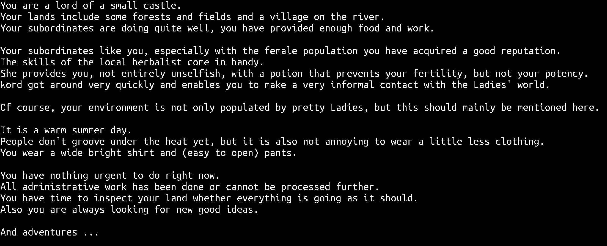 Screenshot 3 for Some Medieval Adventures Demo