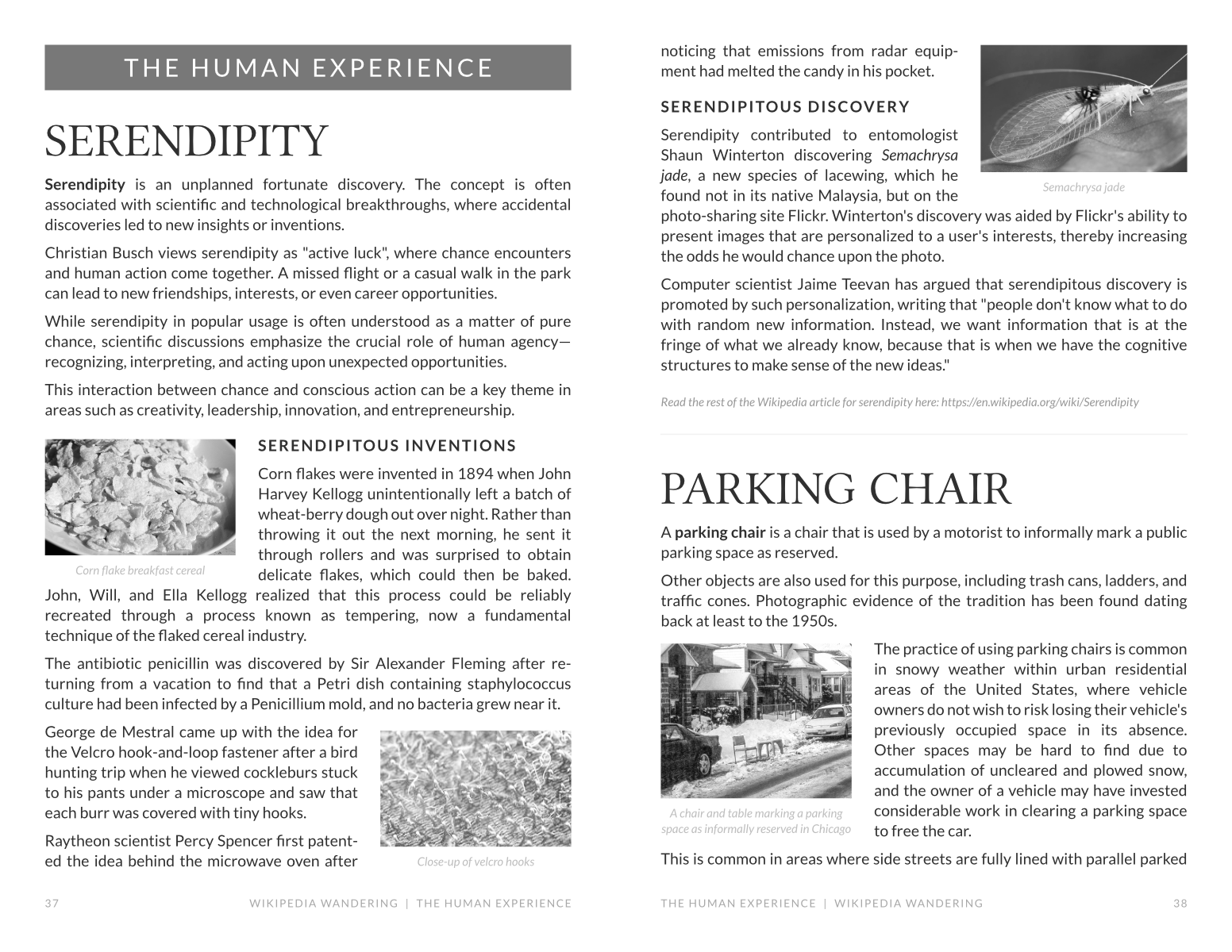 Screenshot 3 for Wikipedia Wandering - Issue 2