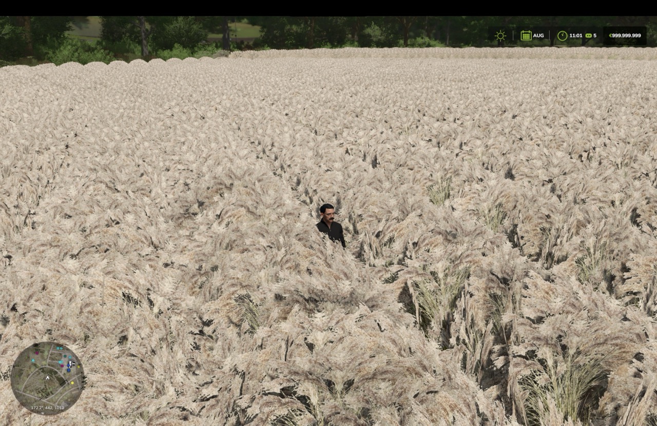 Screenshot 13 for FS25 Multifruit pack Prefab